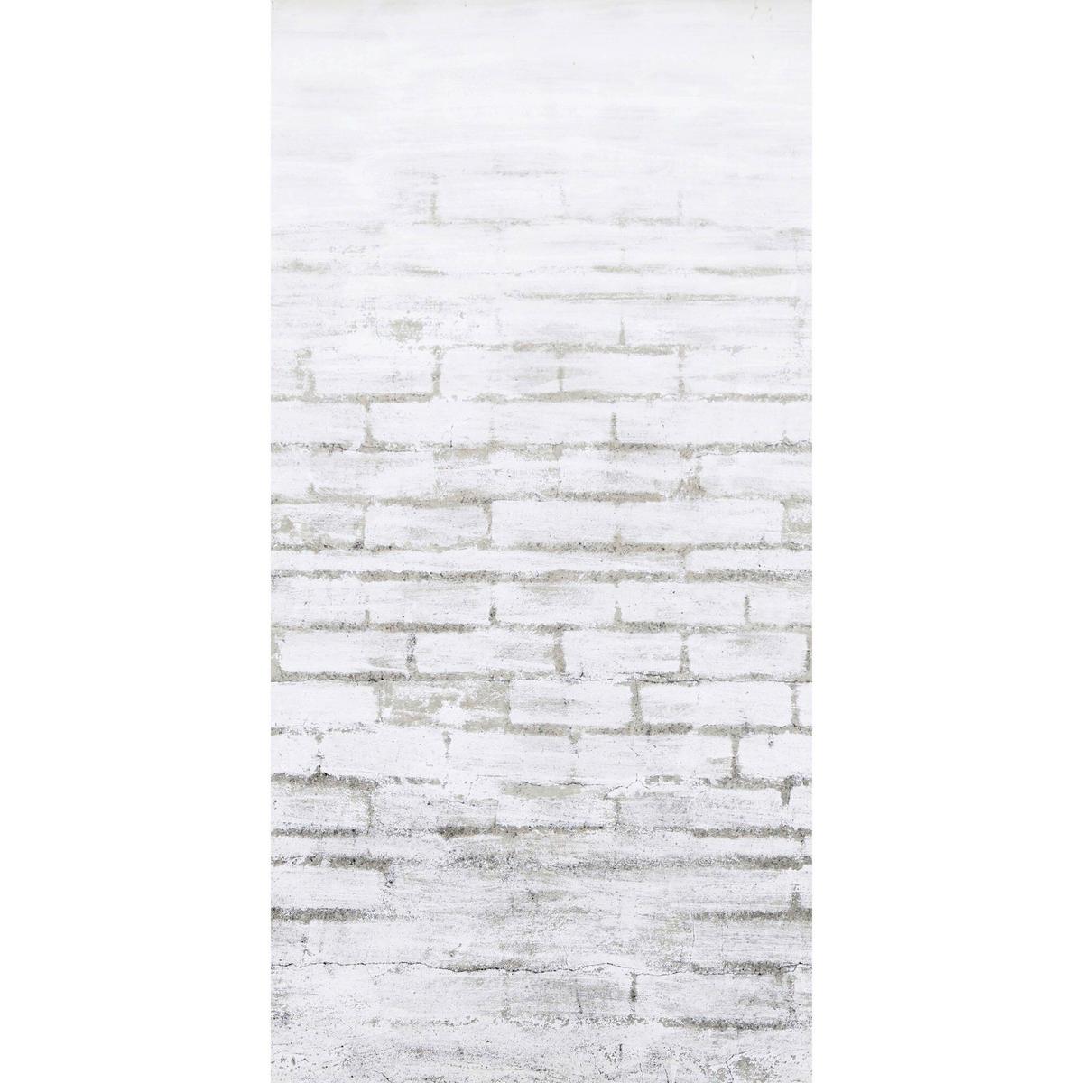 Fototapete Betonoptik B/H: 150/280cm - Weiß, Basics, Papier/Kunststoff (150/280cm)