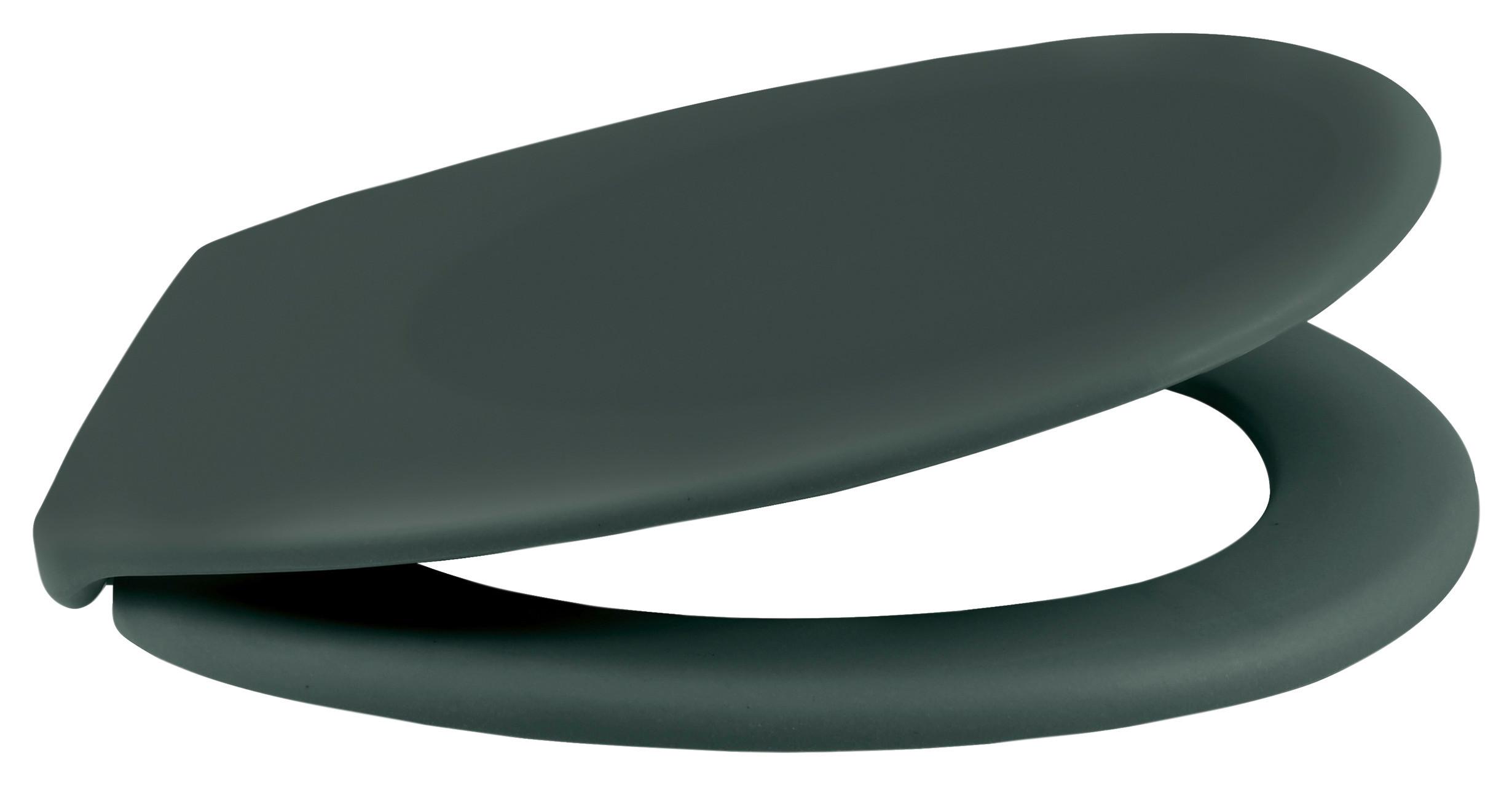 WC-Sitz Neela - Dunkelgrün, KONVENTIONELL, Kunststoff (37,3/5cm) - Spirella