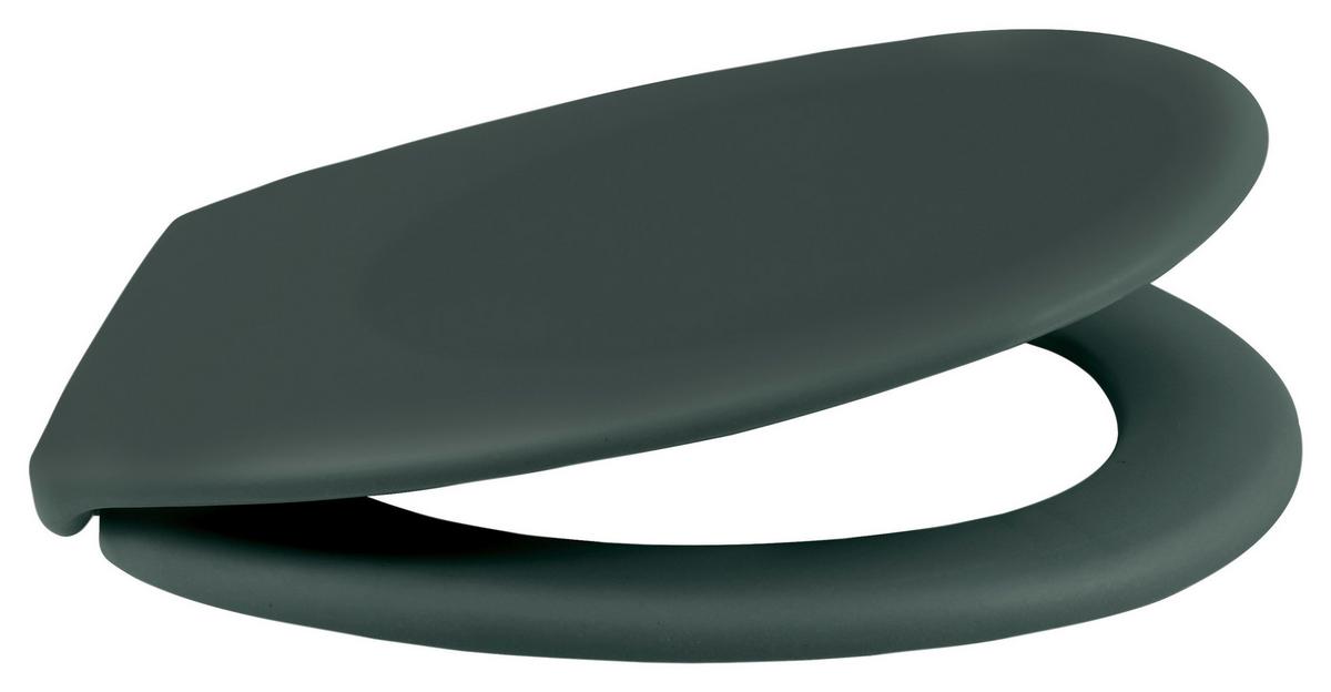 WC-Sitz Neela - Dunkelgrün, KONVENTIONELL, Kunststoff (37,3/5cm) - Spirella