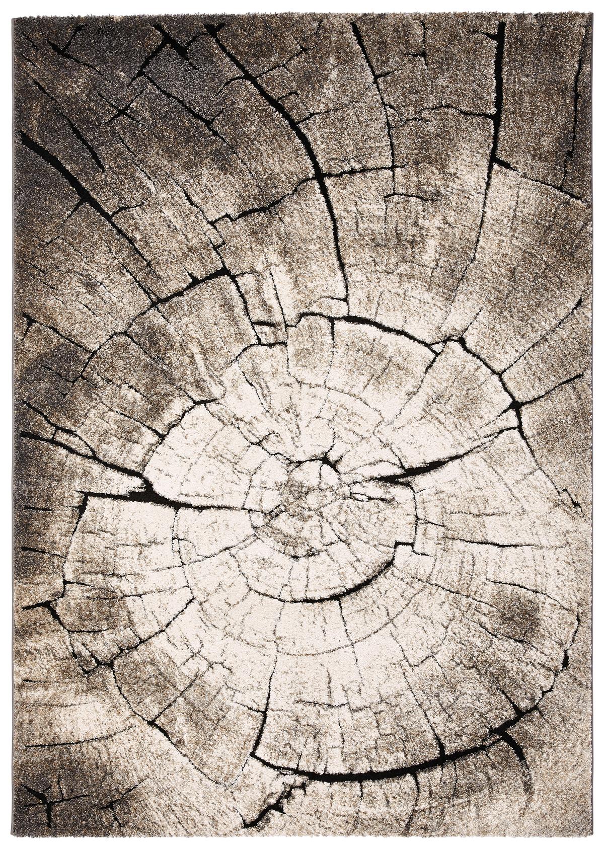 Webteppich Wild Oak - Dunkelgrau/Anthrazit, Design, Textil (200/290cm) - WECON HOME