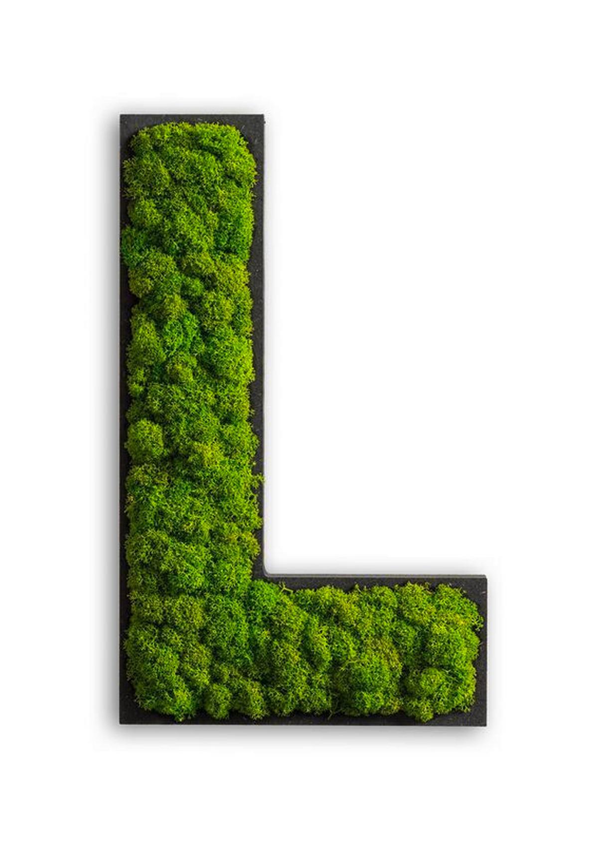 Moosbild Grün B: 25 cm - Schwarz/Grün, Basics, Naturmaterialien/Holz (25/15/4cm)