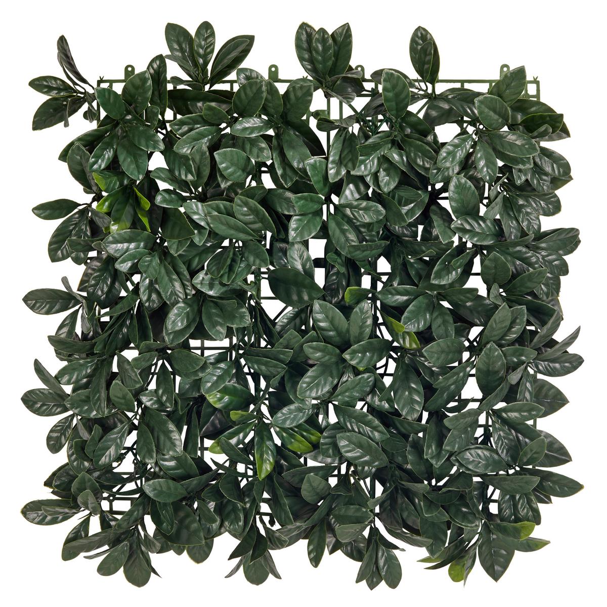 Kunstpflanze Runa - Dunkelgrün, MODERN, Kunststoff (50/50cm) - Luca Bessoni