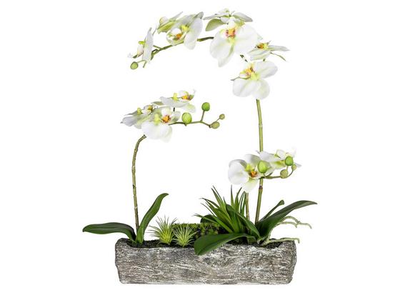 Kunstblume inkl. Topf - Weiß/Grün, MODERN, Kunststoff/Metall (50cm) Kunstblume inkl. Topf - Weiß/Grün, MODERN, Kunststoff/Metall (50cm)