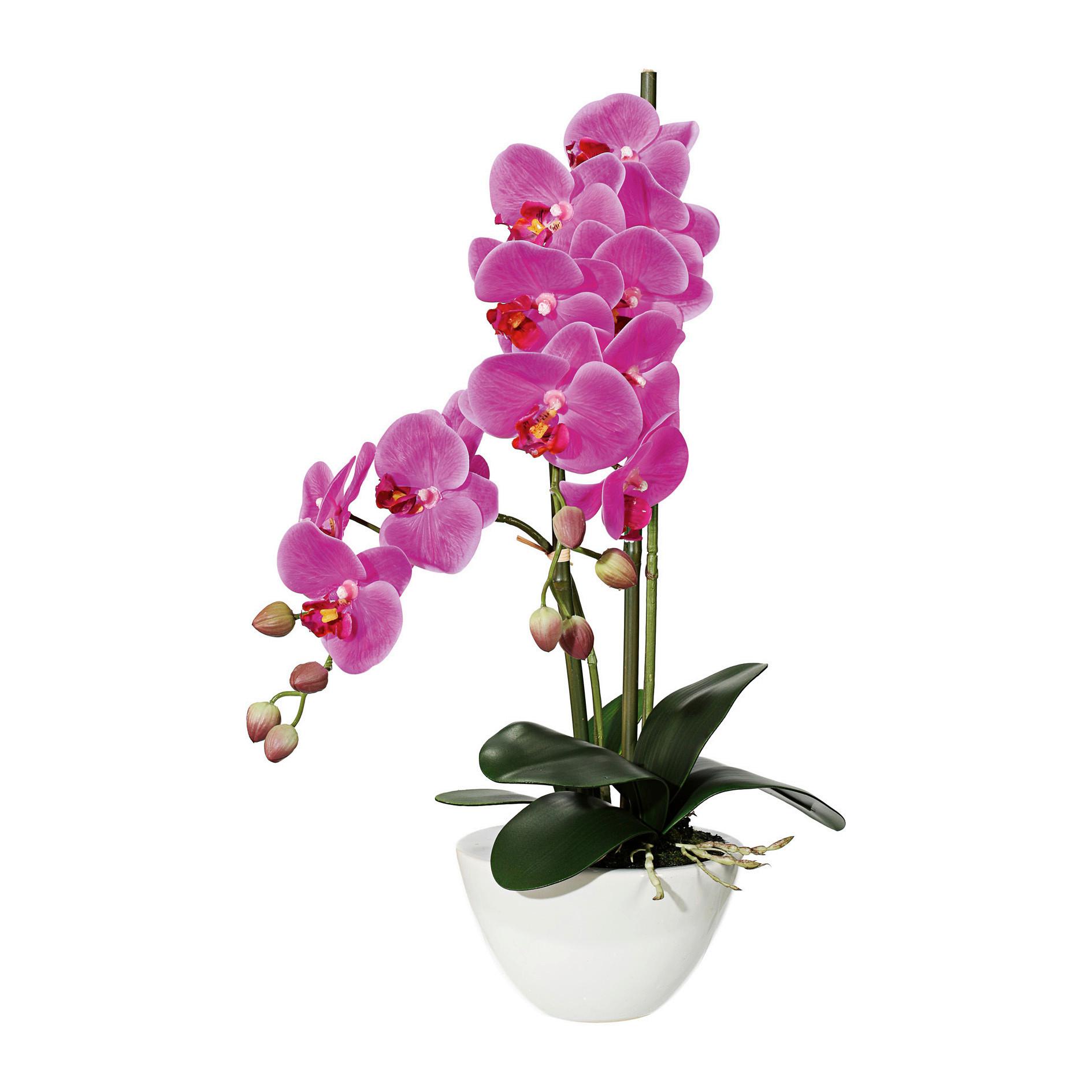 Kunstpflanze Orchideen Pink, Topf: Weiß, H: 50 cm - Pink/Weiß, Design, Keramik/Kunststoff (50cm)