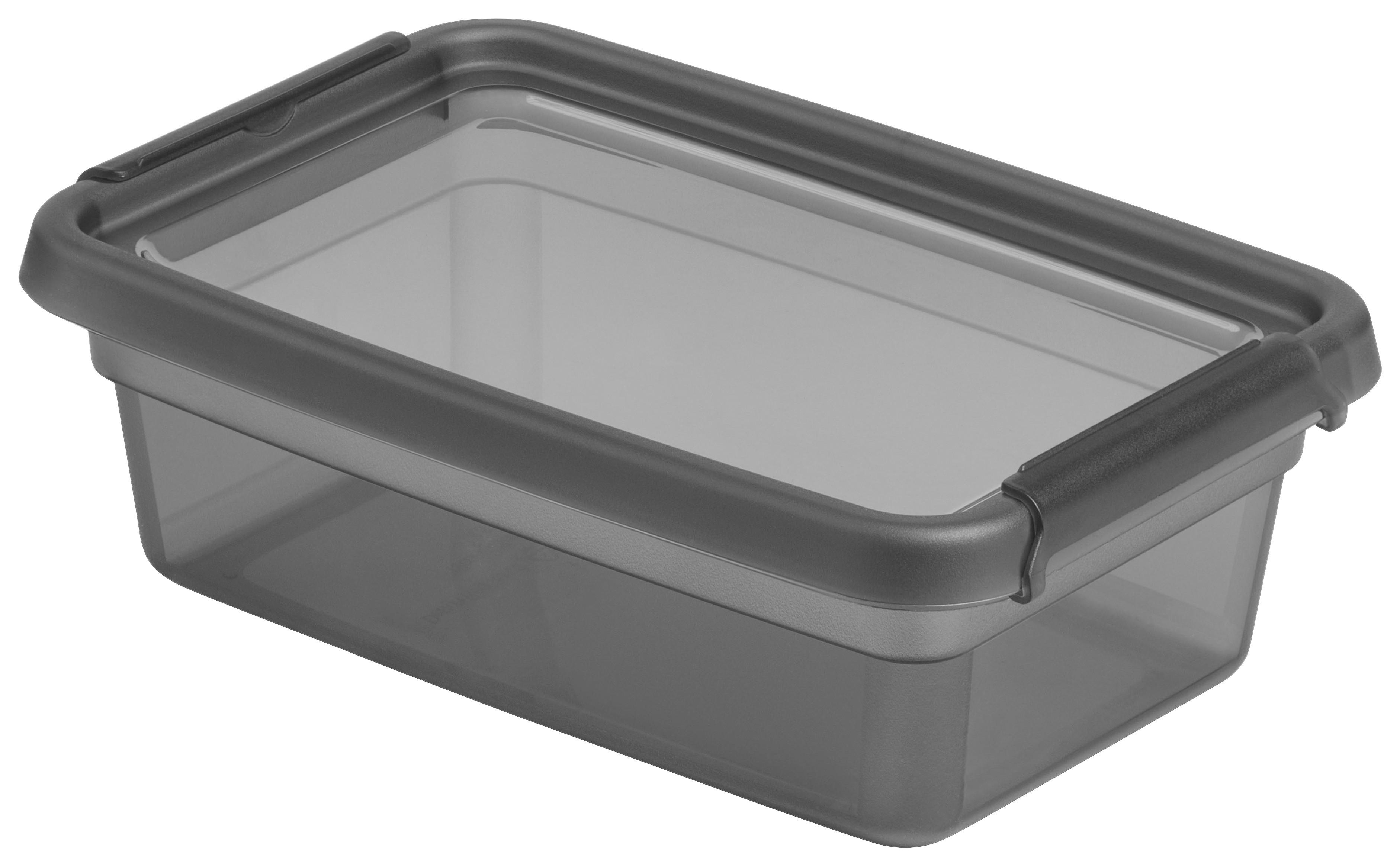 ÚLOŽNÝ BOX BLACKY - CA. 3L - priehľadné/čierna, Modern, plast (19/28/9cm) - Mömax