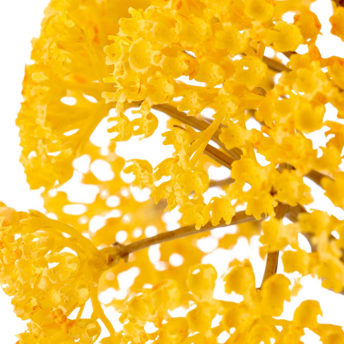 Umelý kvet ACHILLEA I -PAZ- - žltá/krémová, Basics, kov/textil (70cm) - Mömax