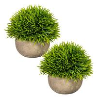 Kunstpflanze Grün, 12 Cm - Grün, Design, Kunststoff/Stein (12cm) - P & B
