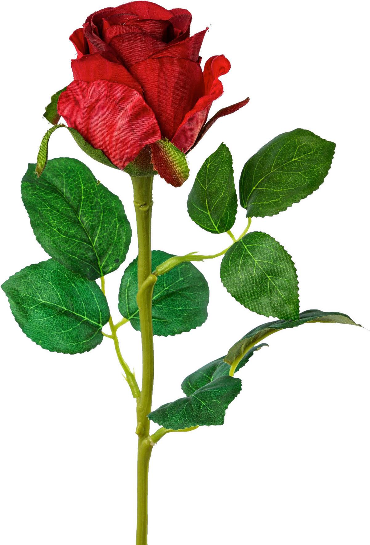 Kunstblume Rose Rot/Grün Höhe: 51 cm, aus Kunststoff - Rot/Grün, KONVENTIONELL, Kunststoff (51cm)