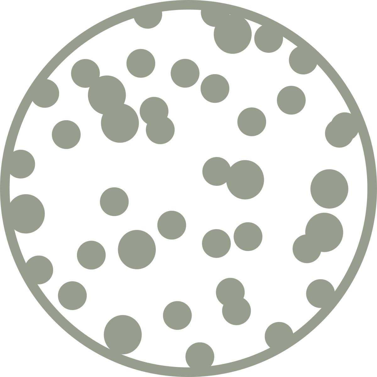 Boxspring postel BUBBLE BOX 180/200 cm, krémová - černá/krémová, Konvenční, kov/dřevo (180/200cm) - Premium Living