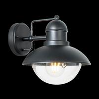 Led Kültéri Falilámpa Hector - fekete/átlátszó, Basics, műanyag/fém (22/21/25cm)