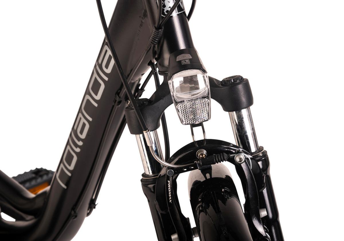 Elektrofahrrad Hollandia Carry On Schwarz - Schwarz, Basics, Metall (21/116/188cm)