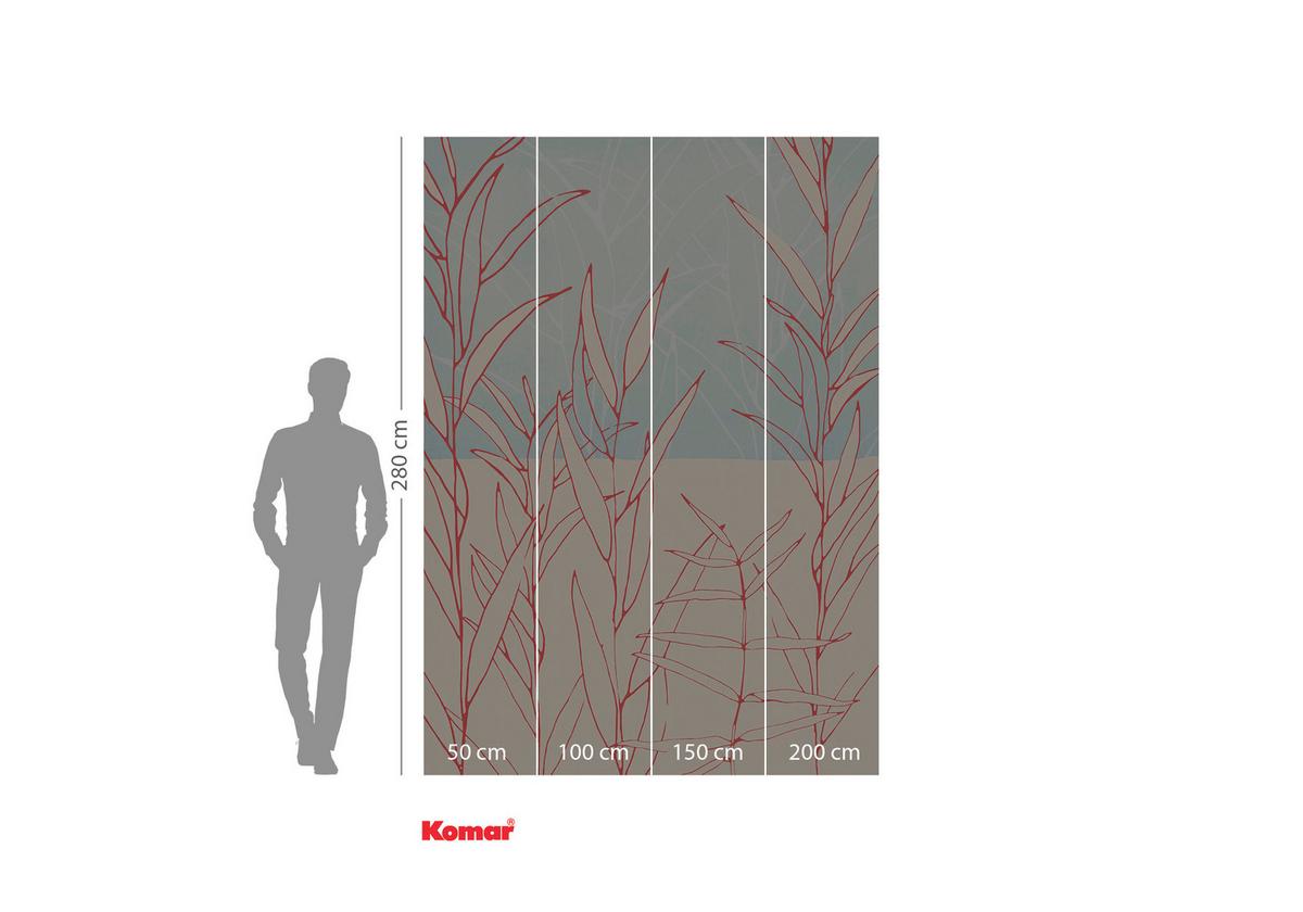 Fototapete Inx4-023 Plain - Trend (200/280cm) - Komar