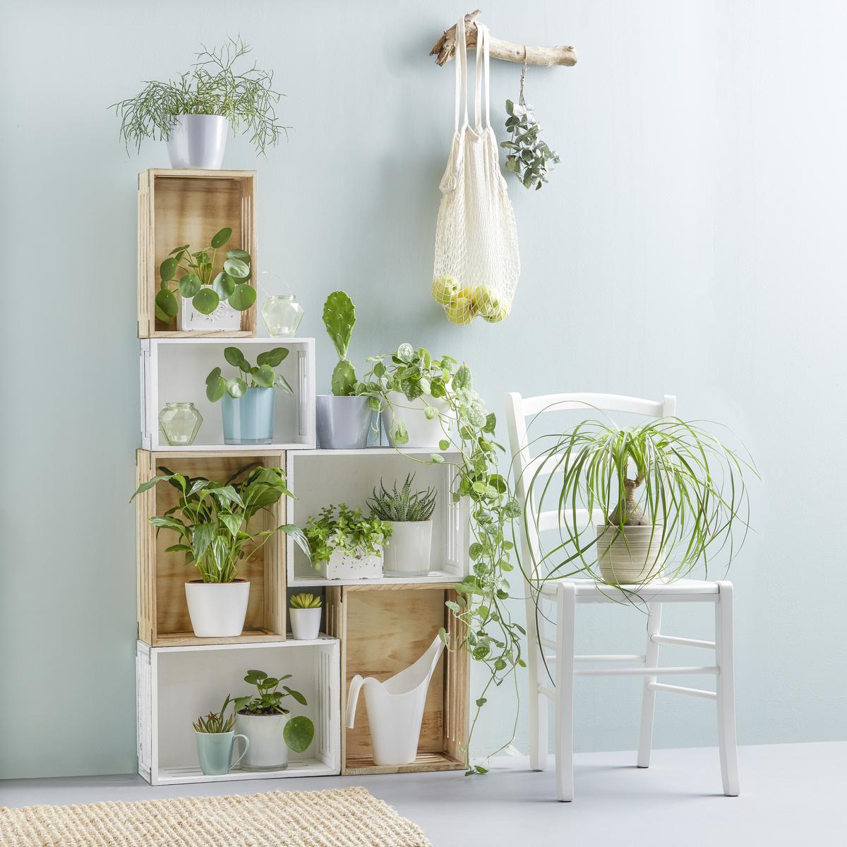 DEBNA RONNY - biela, drevo (32/19/12cm) - Mömax