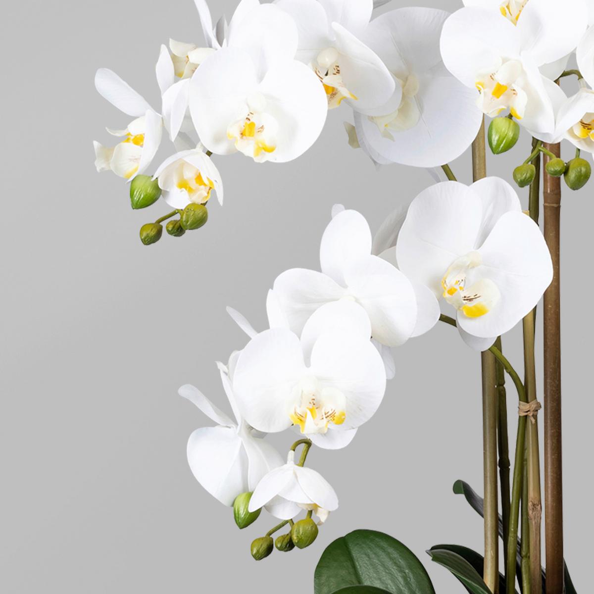Kunstpflanze Orchidee Weiß H: 75 cm mit Topf - Weiß/Braun, Trend, Kunststoff (75cm)