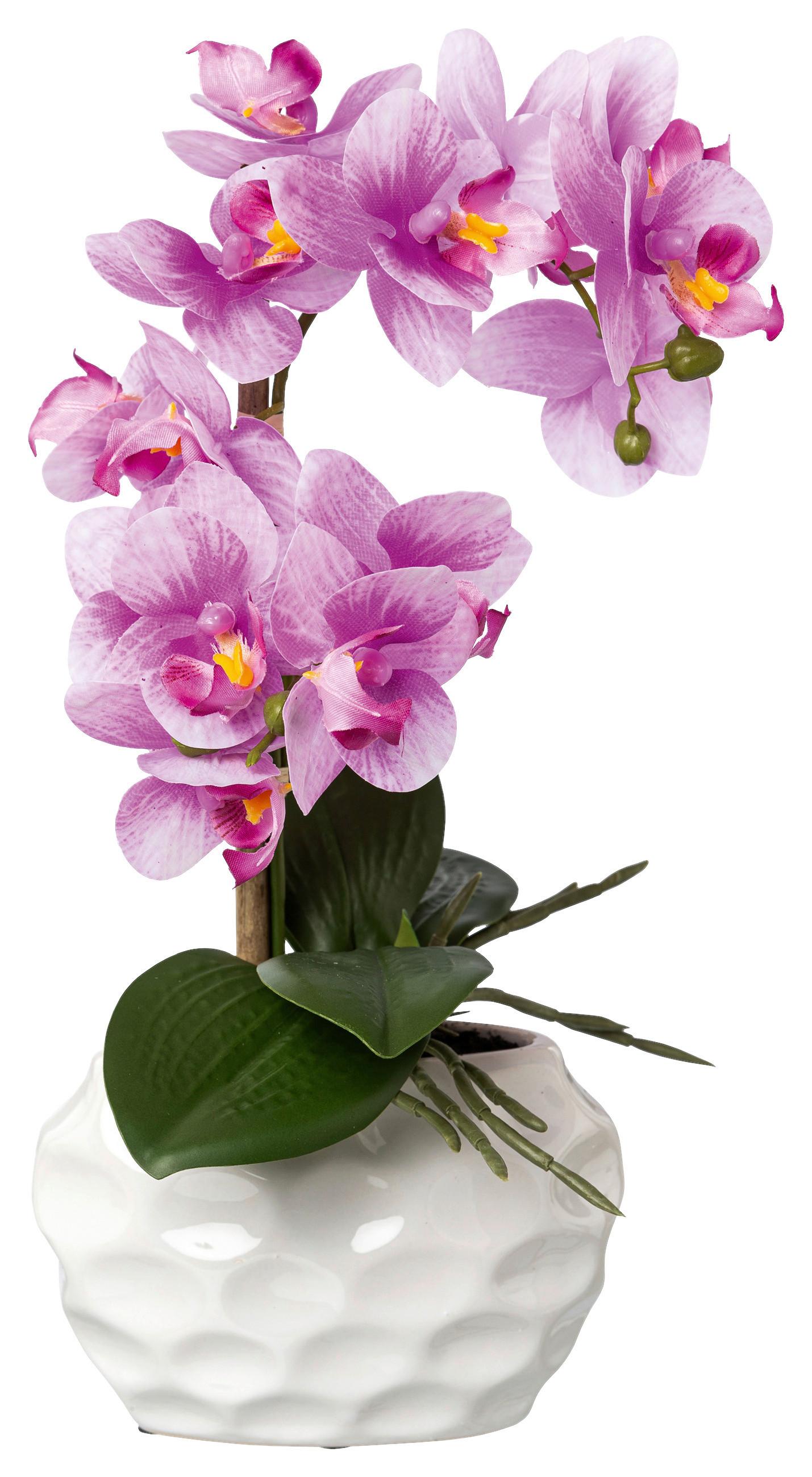 Kunstpflanze Orchideen Rosa, Topf: Weiß, H: 33 Cm - Rosa/Weiß, Design, Keramik/Kunststoff (33cm) - P & B