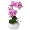 Kunstpflanze Orchideen Rosa, Topf: Weiß, H: 33 Cm - Rosa/Weiß, Design, Keramik/Kunststoff (33cm) - P & B