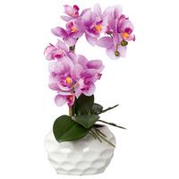 Kunstpflanze Orchideen Rosa, Topf: Weiß, H: 33 Cm - Rosa/Weiß, Design, Keramik/Kunststoff (33cm) - P & B