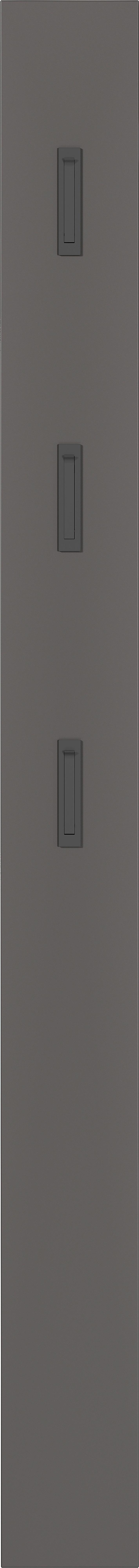 Garderobe Gw-baldone 3-teilig Graphitfarben B: 100 Cm - Graphitfarben, Design, Glas/Holzwerkstoff (100/200/29cm) - MID.YOU