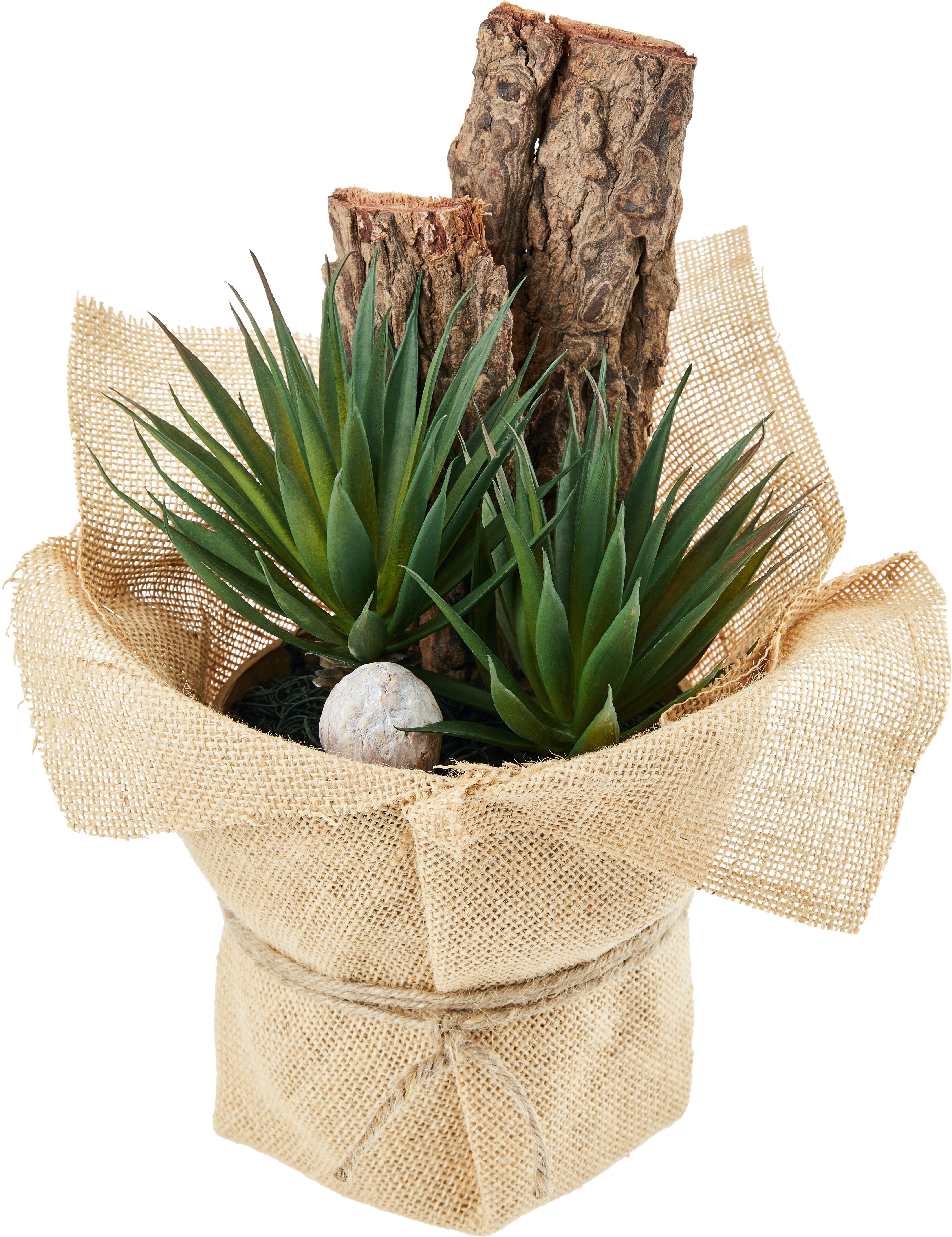 Kunstpflanze Sukkulente Grün/ Naturfarben L: 30 Cm, Sunniva - Naturfarben/Grün, MODERN, Karton/Naturmaterialien (13/30cm) - Luca Bessoni
