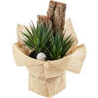 Kunstpflanze Sukkulente Grün/ Naturfarben L: 30 cm, Sunniva - Naturfarben/Grün, MODERN, Karton/Naturmaterialien (13/30cm) - Luca Bessoni
