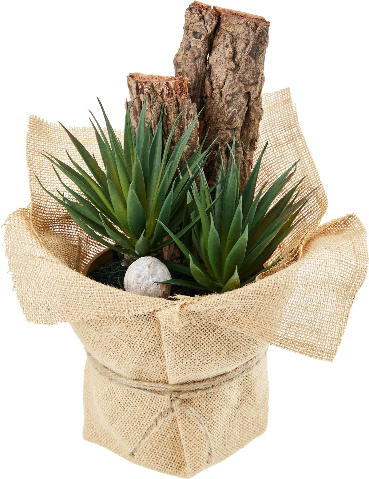 Kunstpflanze Sukkulente Grün/ Naturfarben L: 30 cm, Sunniva - Naturfarben/Grün, MODERN, Karton/Naturmaterialien (13/30cm) - Luca Bessoni