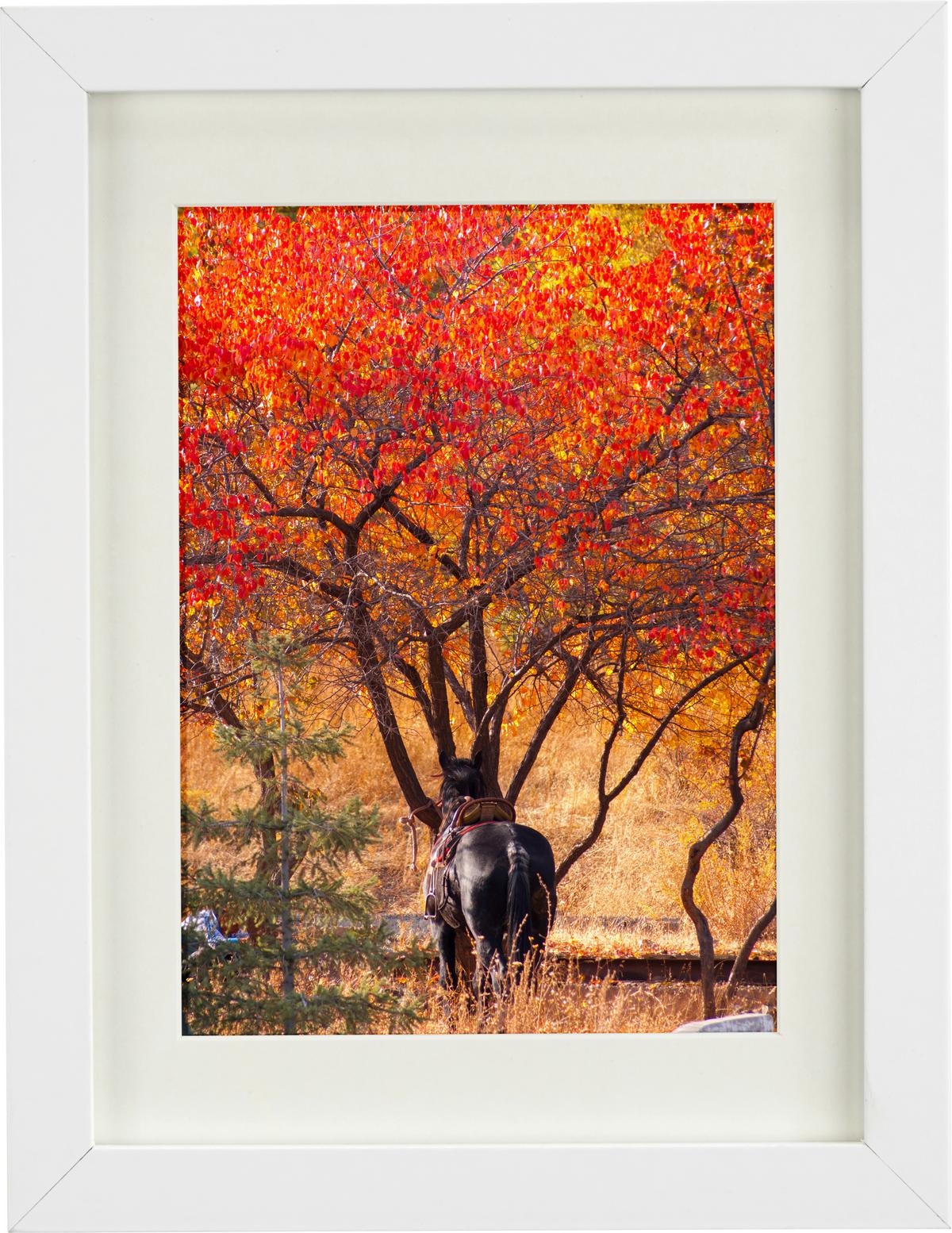 RÁM NA OBRAZY GITTA 50x70 cm - biela, Modern, kompozitné drevo/plast (50/70cm) - Modern Living