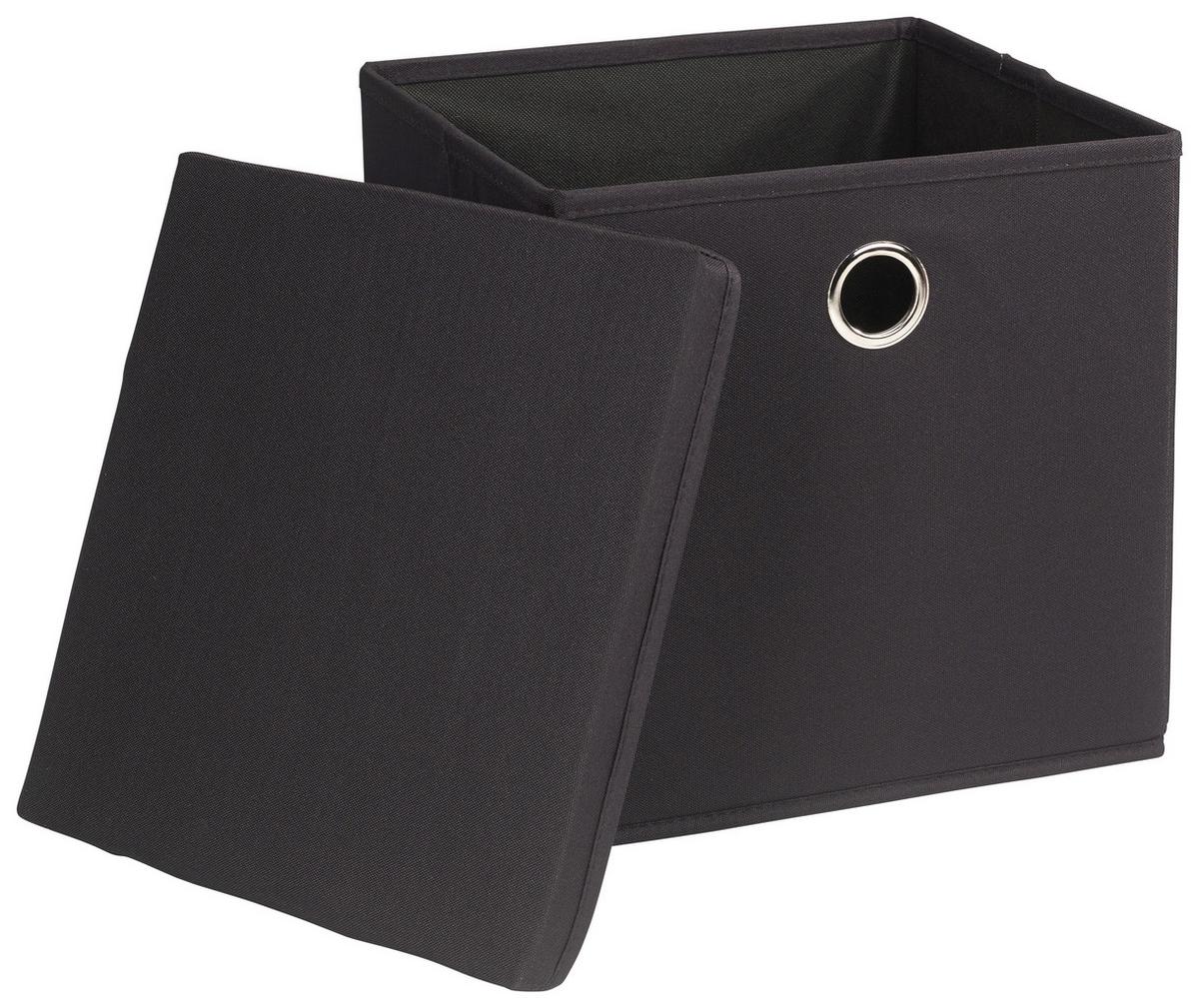 Aufbewahrungsbox Echtwerk Falt/aufbewahrungsbox - Anthrazit, Design, Textil (30/30/30cm) - Echtwerk