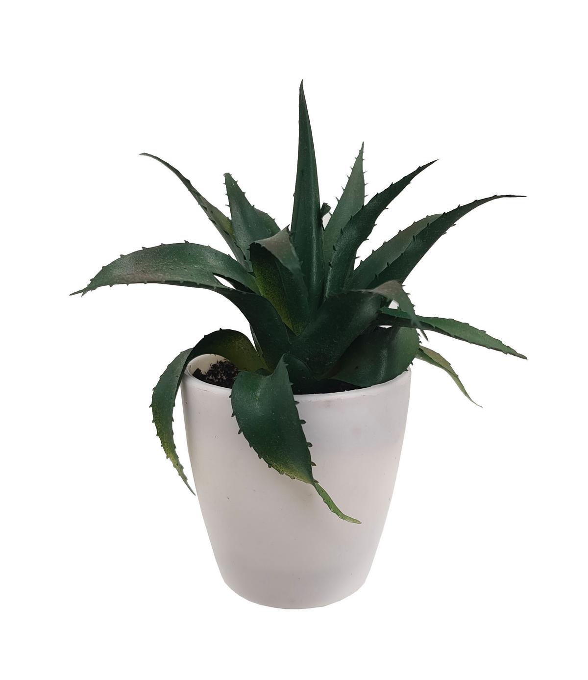 Kunstpflanze Isabella - Weiß/Grün, MODERN, Kunststoff (8/9-16cm) - Luca Bessoni