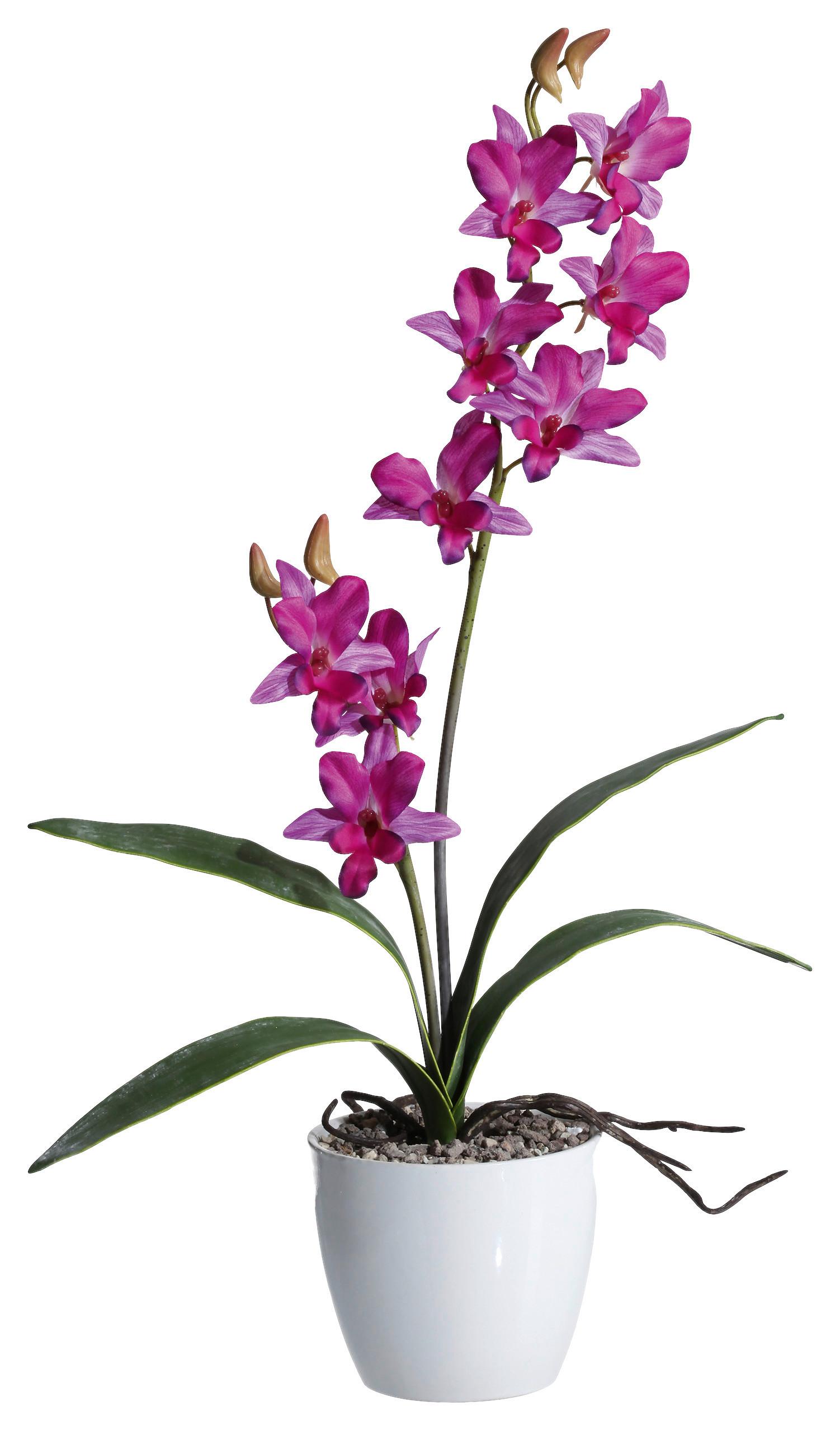Kunstpflanze Orchideen Lila, Topf: Weiß, H: 60 cm - Lila/Weiß, Design, Keramik/Kunststoff (60cm) - P & B