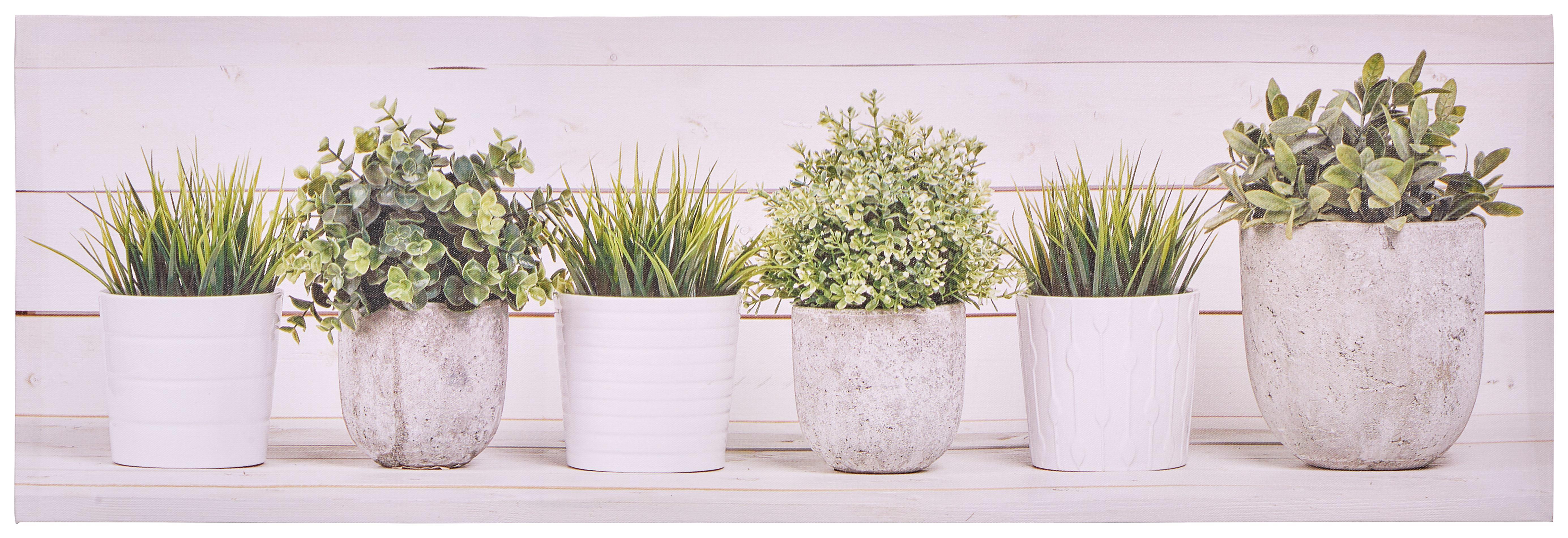 Keilrahmenbild Mila Küchenkräuter in Betontöpfen, weiß/grau/grün Keilrahmenbild Mila Küchenkräuter in Betontöpfen, weiß/grau/grün