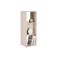 Regal Pisa 13 Kaschmir B: 38,4 cm - Kaschmir, Trend, Holzwerkstoff (38,4/113/35cm)