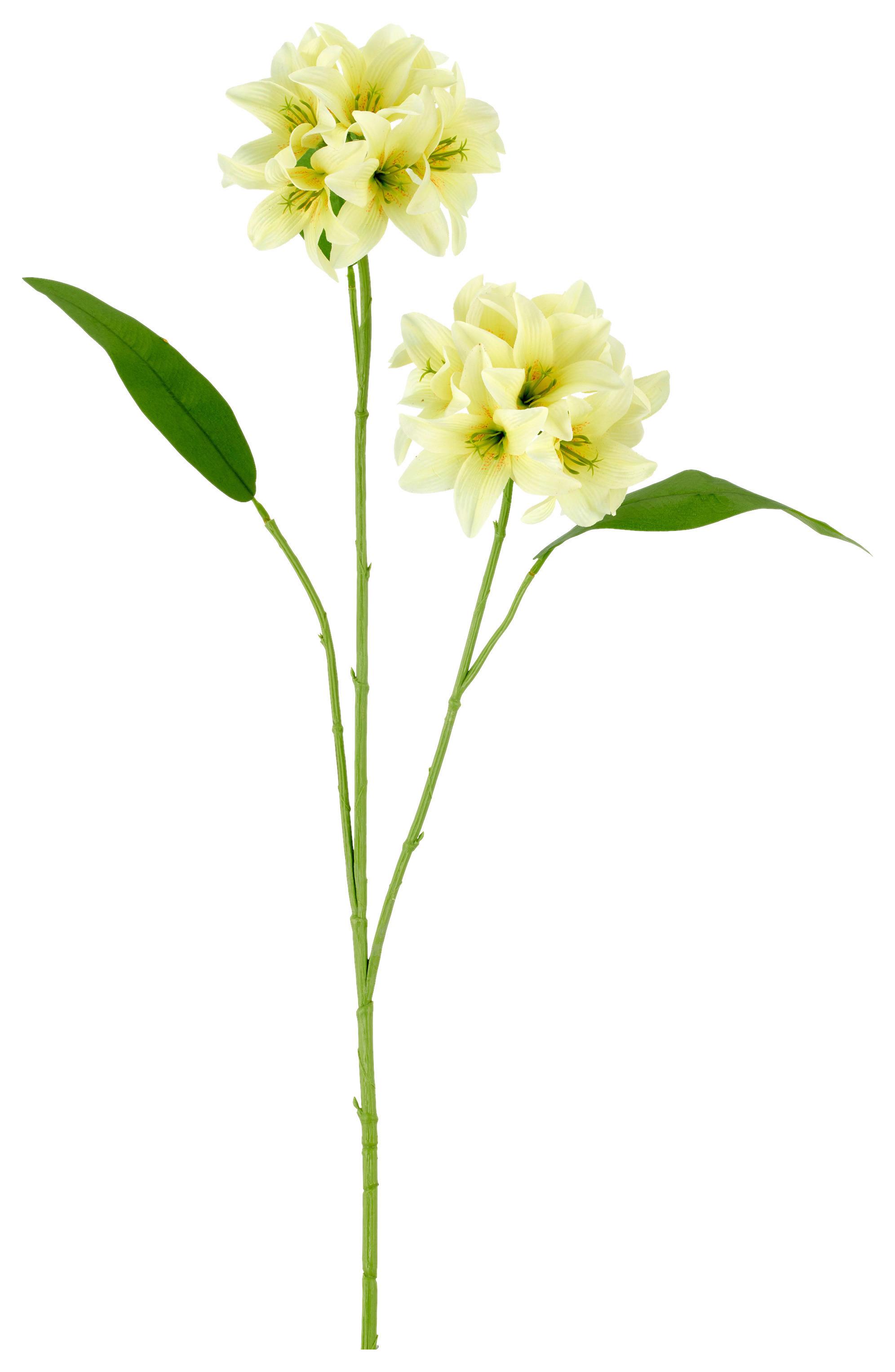 Umelý kvet ľalia LILIE I -PAZ- - zelená/svetložltá, Basics, kov/textil (78cm) - Mömax