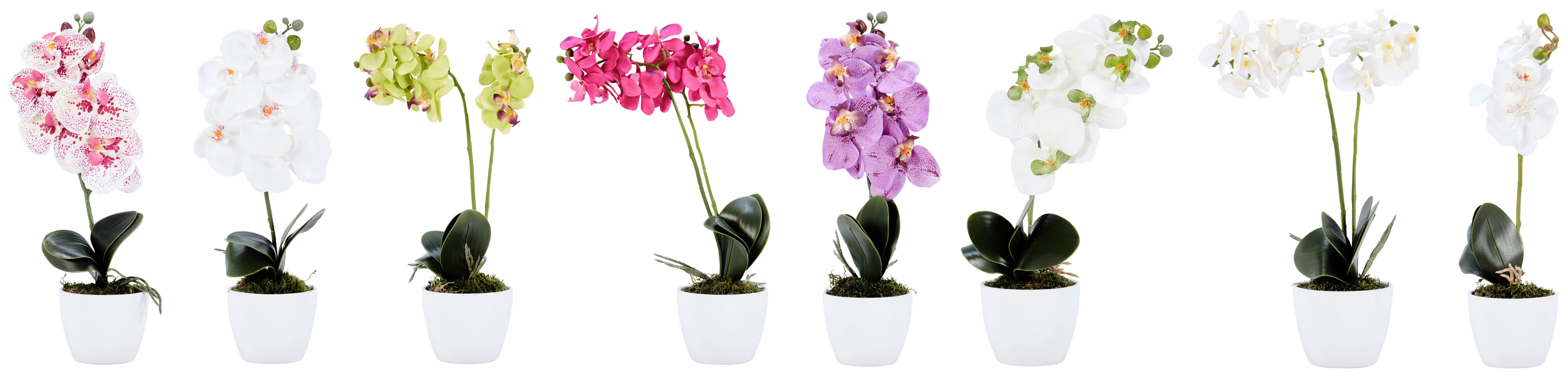 Kunstpflanze Orchidee Bunt H: 40 Cm Im Topf, Sofie - Lila/Weiß, KONVENTIONELL, Keramik/Kunststoff (40cm)