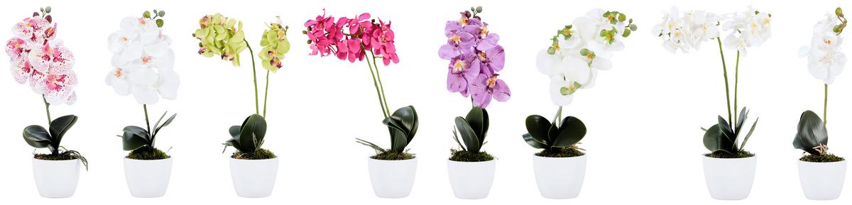 Kunstpflanze Orchidee Bunt H: 40 Cm Im Topf, Sofie - Lila/Weiß, KONVENTIONELL, Keramik/Kunststoff (40cm)