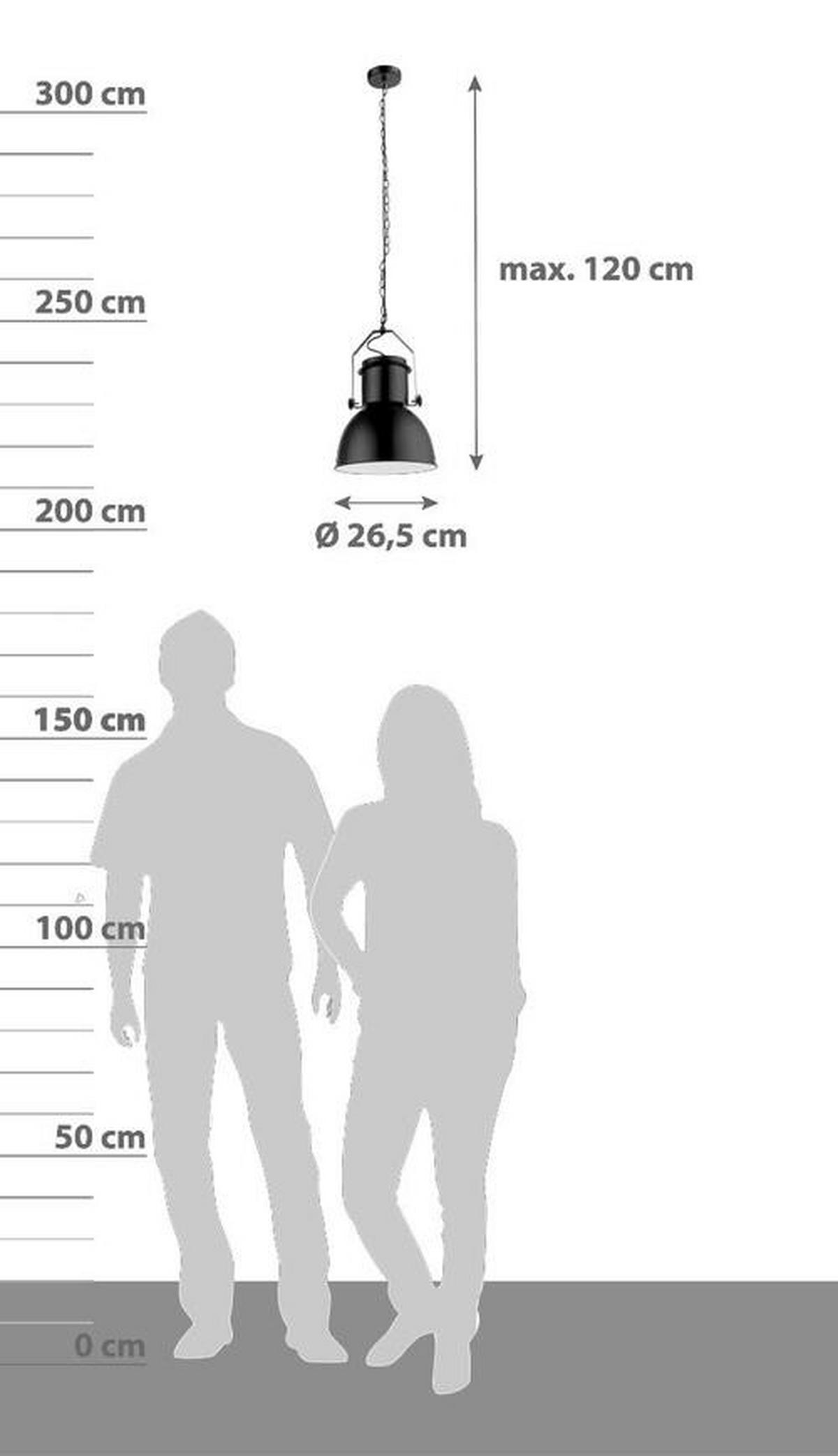 Hängeleuchte 15283 - Schwarz, Trend, Metall (26,5/120cm) - Globo