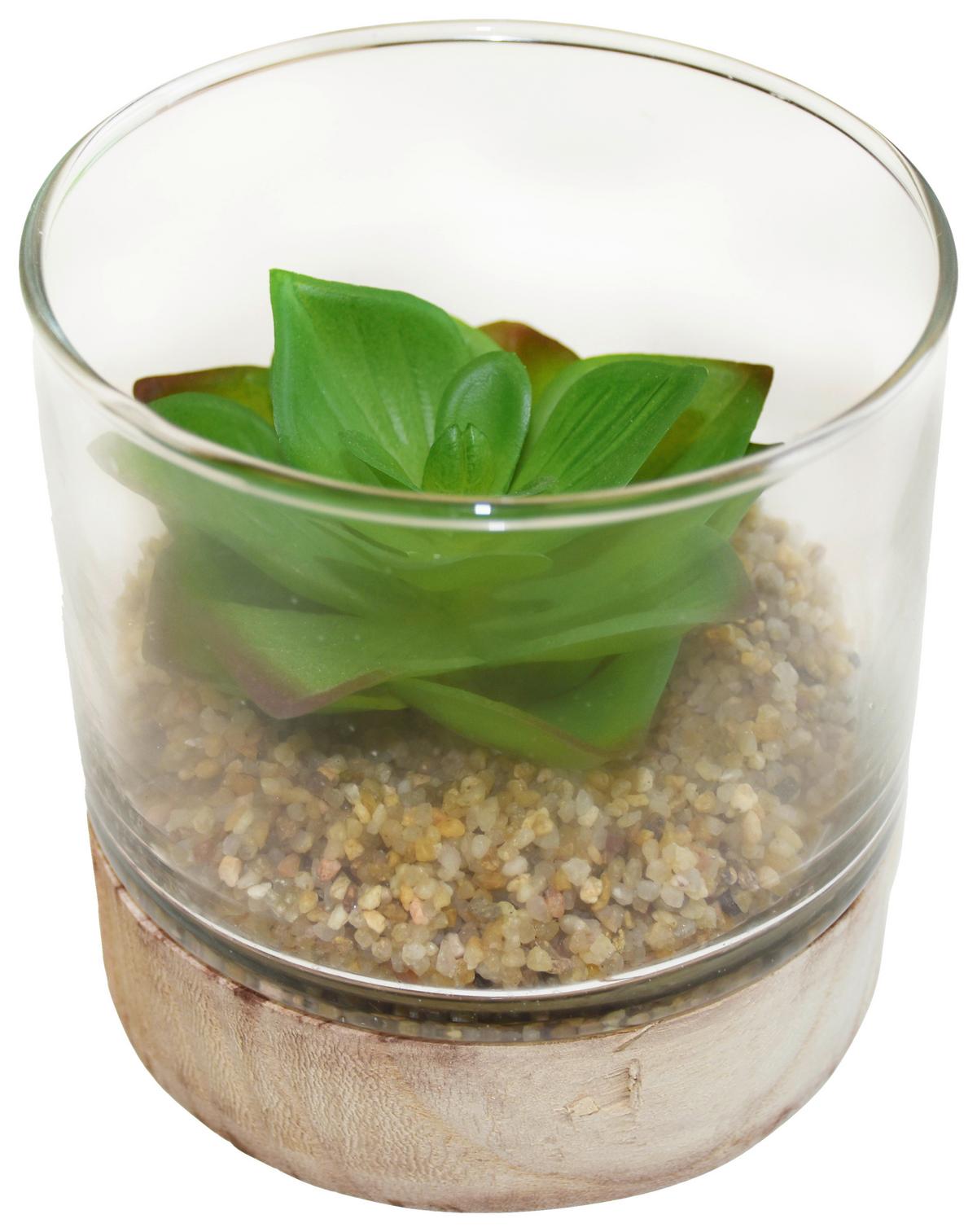 Umělá rostlina sukulent, 10/10cm - zelená, Basics, dřevo/plast (10/10cm) - Modern Living