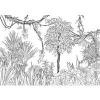 Fototapete R4-046 Blanca - Schwarz/Weiß, Trend (400/280cm)