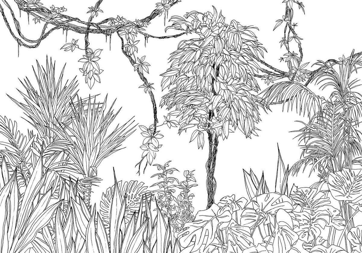 Fototapete R4-046 Blanca - Schwarz/Weiß, Trend (400/280cm)