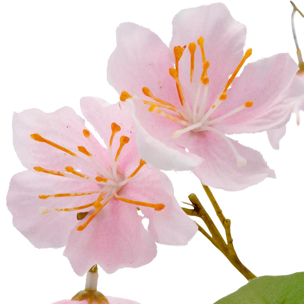 Rozkvitnutá vetvička čerešne Výška 126 cm - zelená/ružová, Basics, kov/textil (126cm) - Mömax