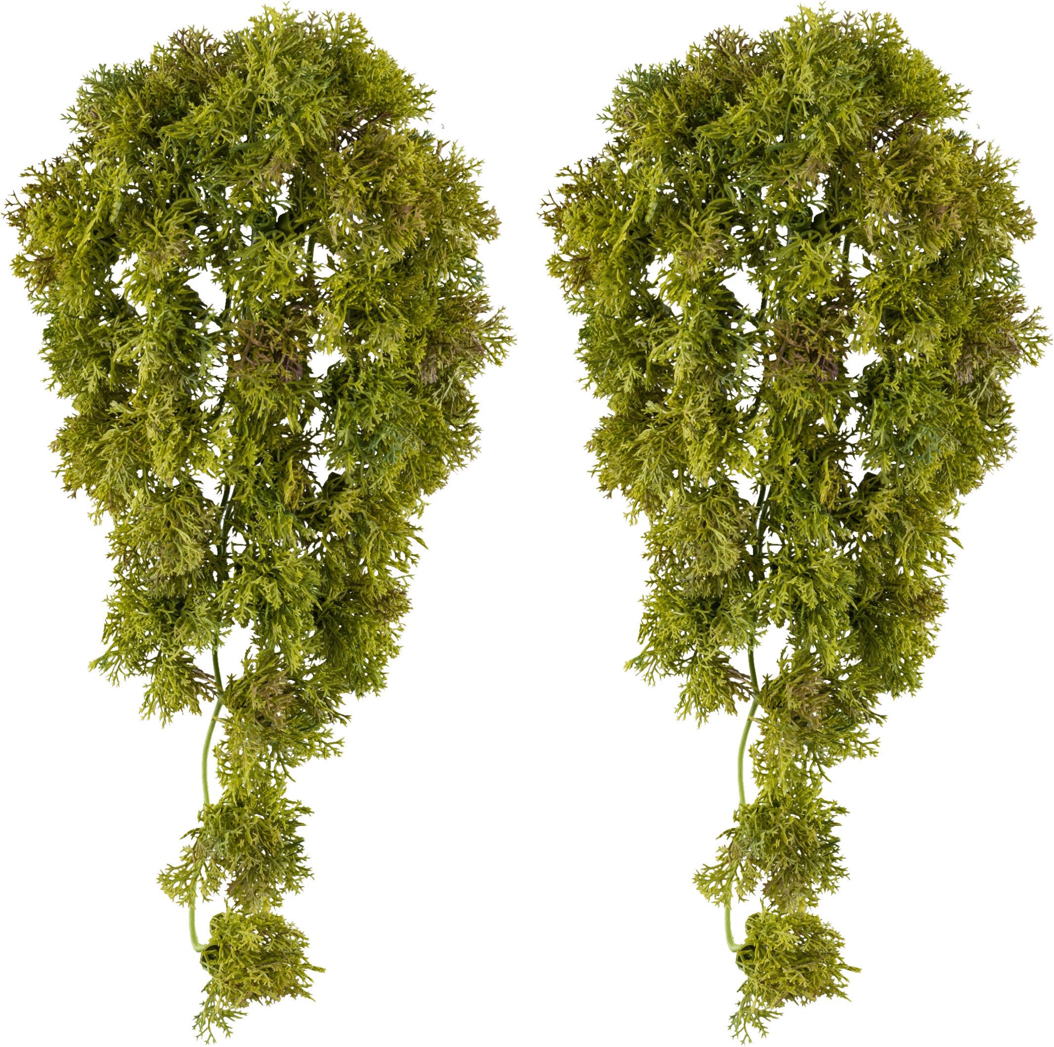 Kunstpflanze Grün, 36 cm - Grün, Design, Kunststoff (36cm) - P & B