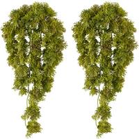 Kunstpflanze Grün, 36 cm - Grün, Design, Kunststoff (36cm) - P & B