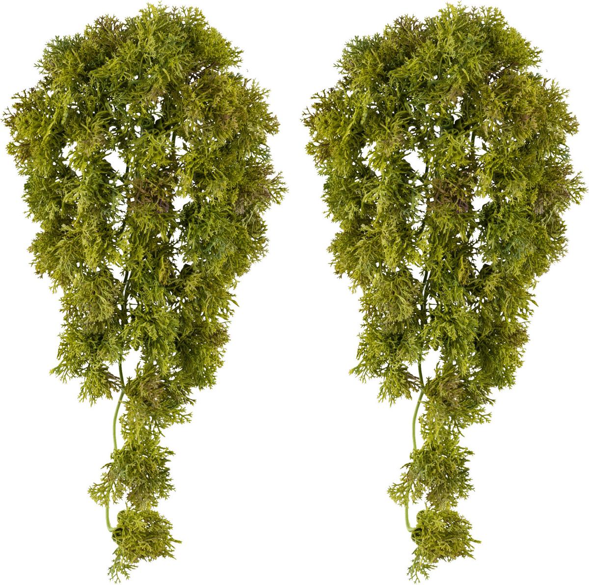 Kunstpflanze Grün, 36 cm - Grün, Design, Kunststoff (36cm) - P & B