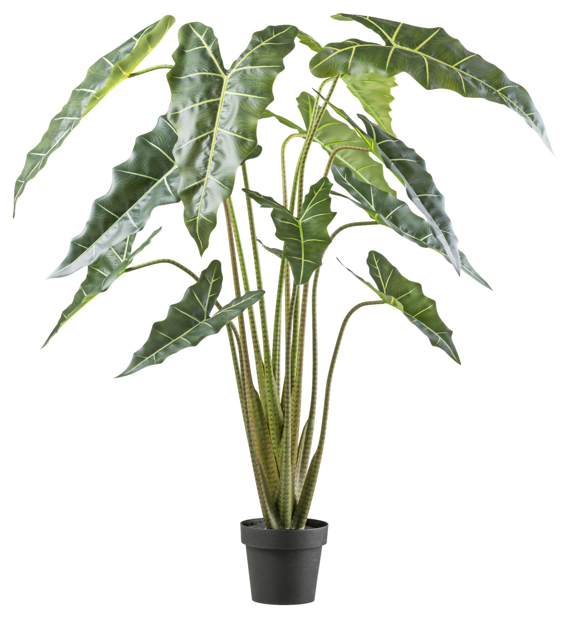 Kunstpflanze H: 160 cm - Schwarz/Grün, Design, Kunststoff (160cm) - P & B