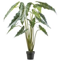 Kunstpflanze H: 160 cm - Schwarz/Grün, Design, Kunststoff (160cm) - P & B