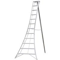 Leiter 3-Holm-Gartenleiter 360cm - Silberfarben, Basics, Metall (272/360/147cm)