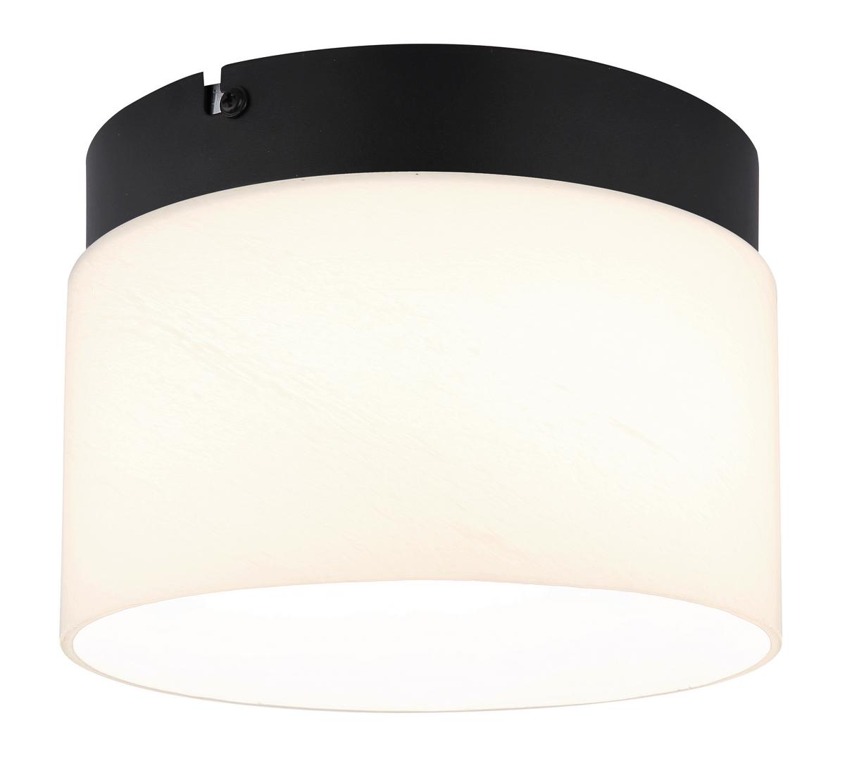 LED-Deckenleuchte Trenton Schwarz Weiß D: 20 cm - Schwarz/Weiß, Design, Glas/Metall (20/14cm) - Globo