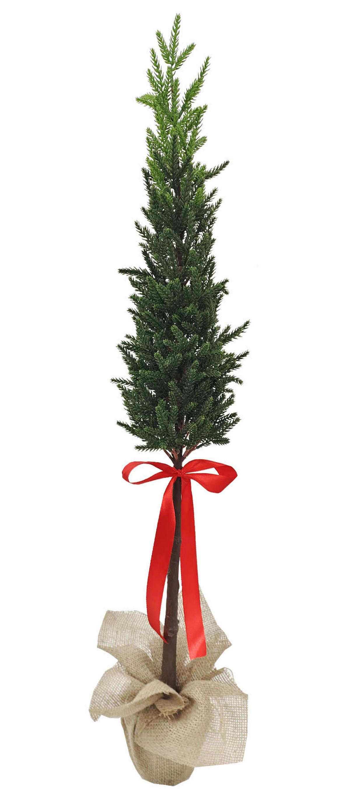 Karácsonyfa Marvin Magasság Kb. 103cm - fekete/zöld, Konventionell, műanyag (13/103cm) - Luca Bessoni