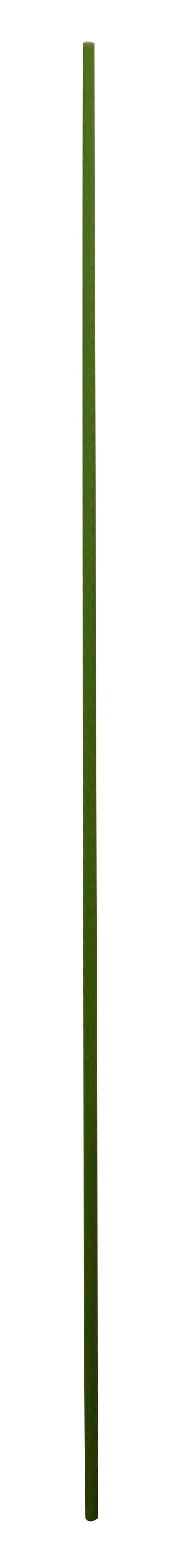 Pflanzstab Gardtech Metall 120cm Kunststoffummantelt Grün - Grün, KONVENTIONELL, Kunststoff/Metall (1,1/120cm) - Homezone