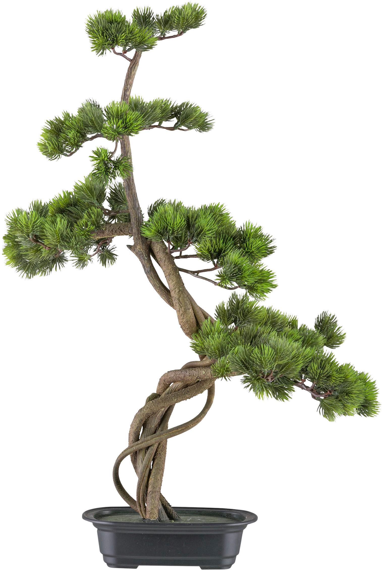 Kunstpflanze Bonsai inkl. Topf D: 21 cm - Schwarz/Braun, Design, Kunststoff (70cm) - P & B
