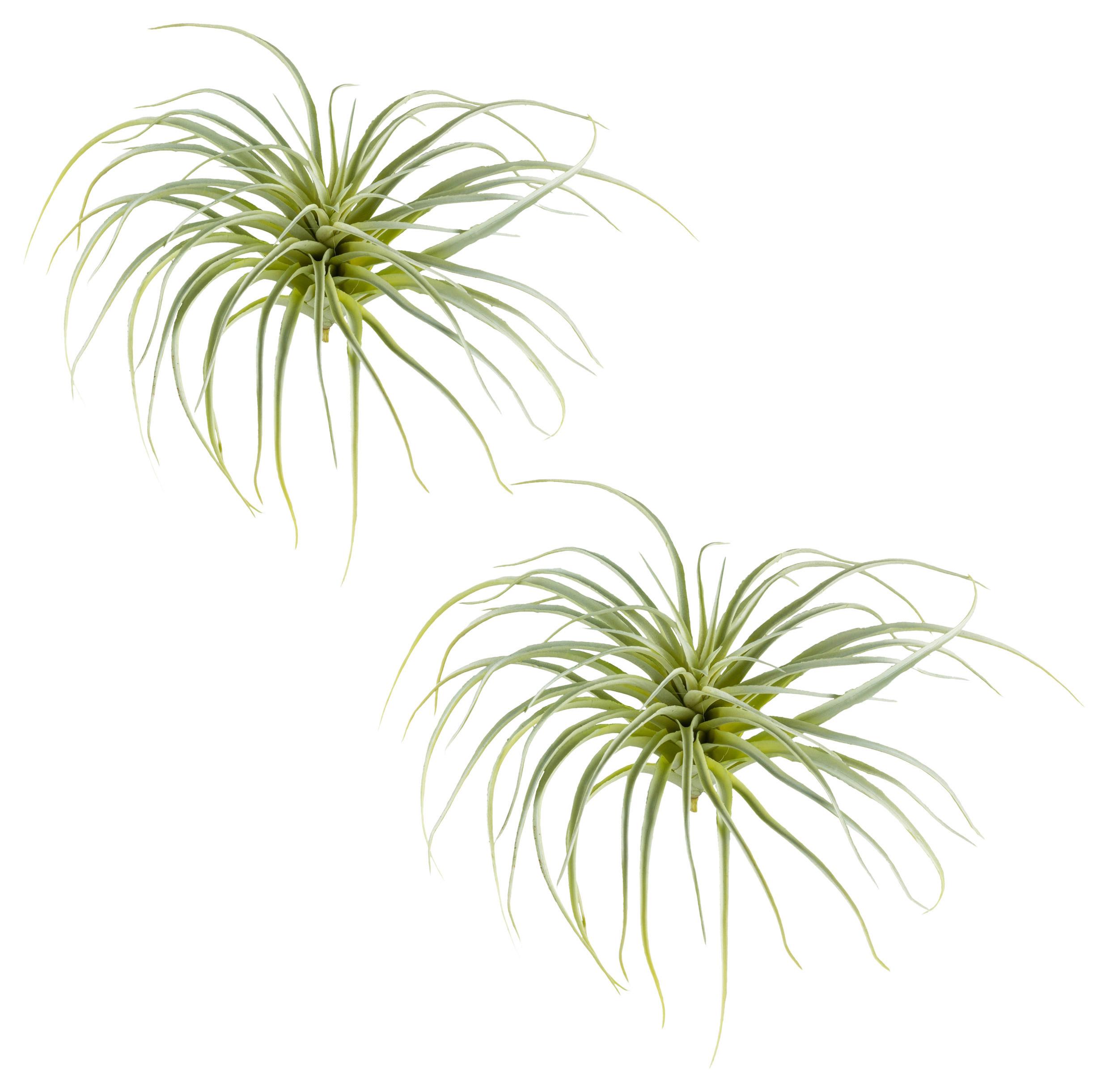 Kunstpflanze Sukkulenten Hellgrün, 20 cm - Hellgrün, Design, Kunststoff (20cm) - P & B